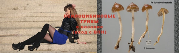 MDMA Заводоуковск
