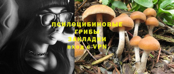 тгк Заволжск
